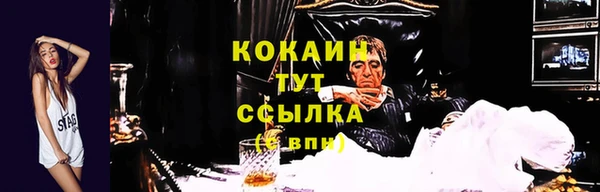 мет Лагань