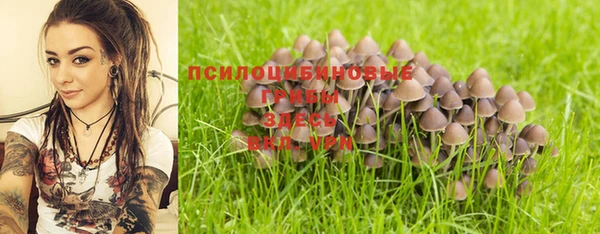 мет Лагань